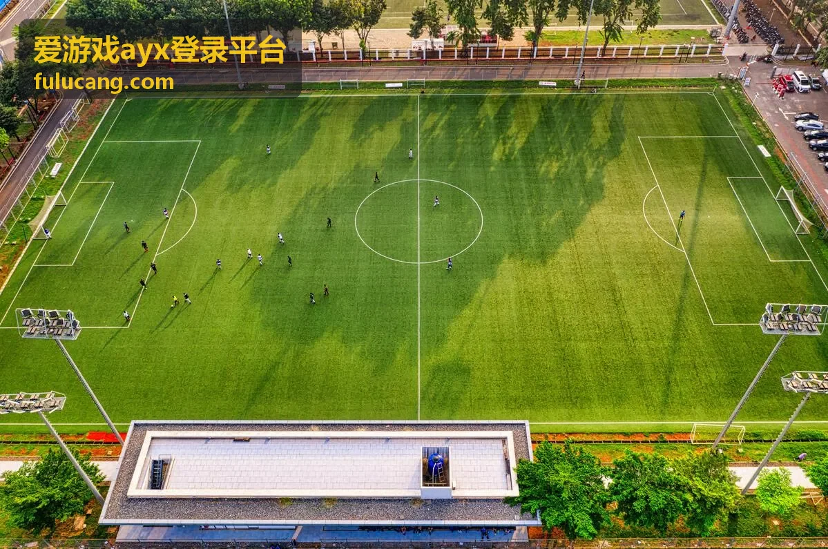 爱游戏ayx登录平台登录前的入口核对与设备检查