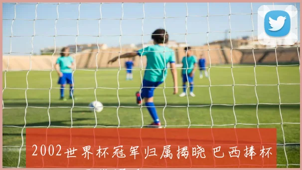 2002世界杯冠军归属揭晓 巴西捧杯成就五星荣耀_1